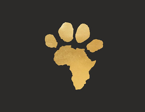 Solid plain Logo.jpeg