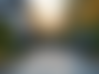 Understanding Automatic Gate Pricing: A Clear Guide for Your Property