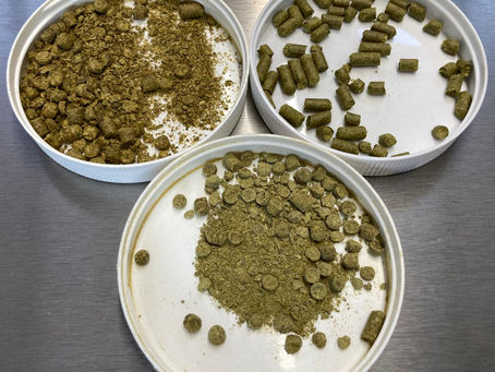 T90 Hop Pellets: What They Are & Why They Matter for Your Brewing