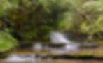 WATERFALL(8)_edited.jpg