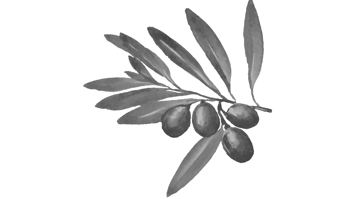 olives-branch3.gif