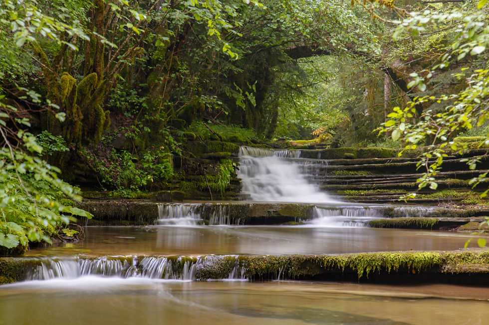 WATERFALL(8).jpg
