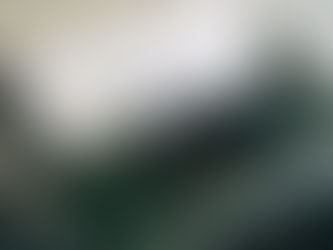 Case Study : Re-implementation of SAP-ECC Funds Management