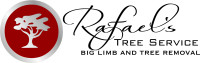 Rafael's Tree Service work site