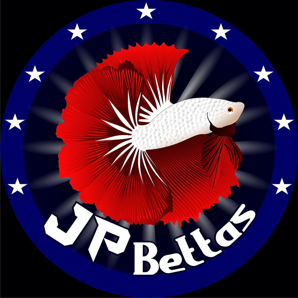 JP BETTAS FOTO