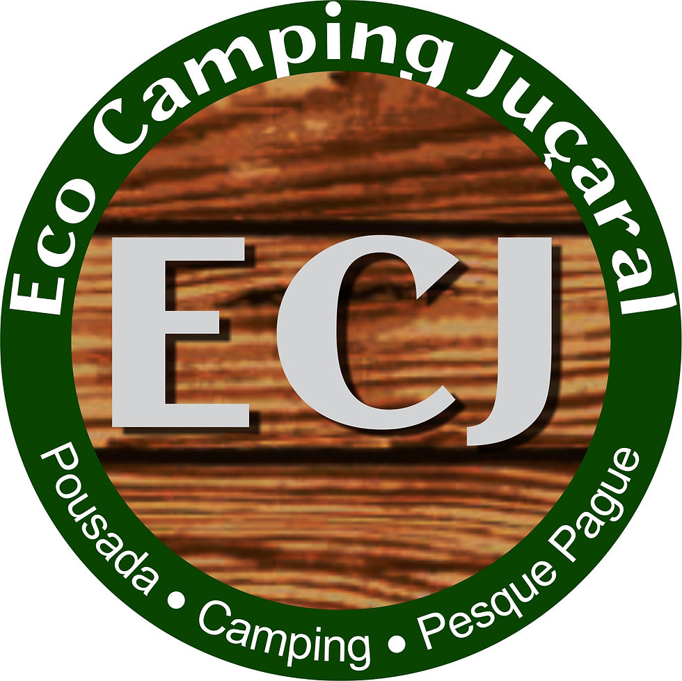 logo ejc6