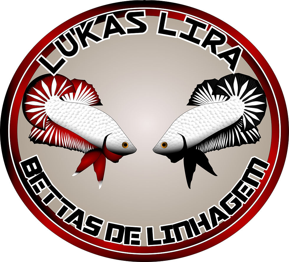 LUKAS BETTAS