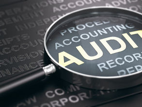 Internal Audit Co-Sourcing  