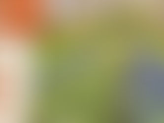 Did you know that in the early 1600s, tulips were so prized in the Netherlands that “Tulip Mania” saw rare bulbs selling for more than the price of a house? Today, travelers can experience the beau...