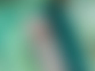 Cold weather have you dreaming of a warm-weather getaway? From ruins to scuba, cobblestone-historied streets to lush rainforest retreats, Mexico has everything you’re looking for! Let’s build your ...