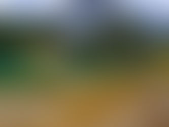 Turquoise waters, alpine peaks, and pine-lined shores—Emerald Lake in British Columbia’s Yoho National Park is pure Canadian magic. Ready to explore? #EmeraldLake #YohoNationalPark #ExploreBC #Cana...