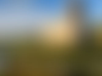 Cruise through the Rhine & Moselle’s iconic vineyards, savor local wines and enjoy scenic excursions. Experience history and flavor on this unforgettable river cruise. DM me! Link in Bio for Free Q...