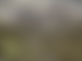 ✨ Escape to the majestic alpine mountains with IBOOKIGO and experience the thrill of hiking amidst breathtaking views! 🏔️ Feel the fresh mountain air and conquer new heights surrounded by nature’s...