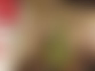 Innsbruck’s Golden Roof balcony overlooks the Christmas Market covered with festive lights. The tradition of Christmas lights started in the 16th century when Martin Luther added candles to a tree,...