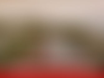 The crystal blue Caribbean is calling your name! Virgin Voyages has multiple 4-8 night Spring 2025 getaways leaving from Miami for you to explore. Set sail on your next great adventure and dance th...