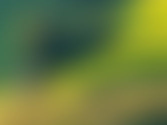 🌾 Dreamy meadows and golden fields as far as the eye can see – a peaceful retreat from the chaos of everyday life. 🌿 Let your mind wander as you imagine yourself in this tranquil paradise. 🌻 Emb...