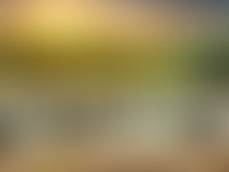 Looks like a staged picture but it’s all real. These elephants are watering at dusk in Sri Lanka. FreeTravelQuote.com #ibookigo #traveldeals #travelgoals #tripideas #summervaycay #cruisedeals #BOGO...