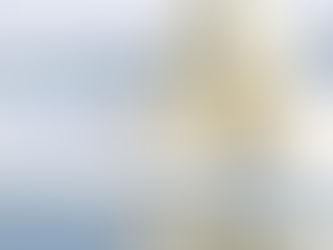 One of the Arctic’s biggest draws is its incredible variety of wildlife. Birdwatchers will be in heaven on the lookout for puffins, black-legged kittiwakes, black guillemots, and many more. Spottin...