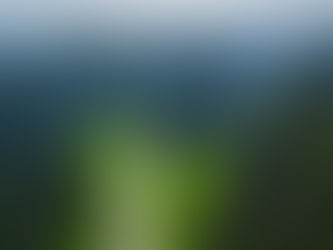 Vietnam… as green as Ireland! Time to check it out? FreeTravelQuote.com #ibookigo #traveldeals #travelgoals #tripideas #summervaycay #cruisedeals #BOGO #cruises #sahm