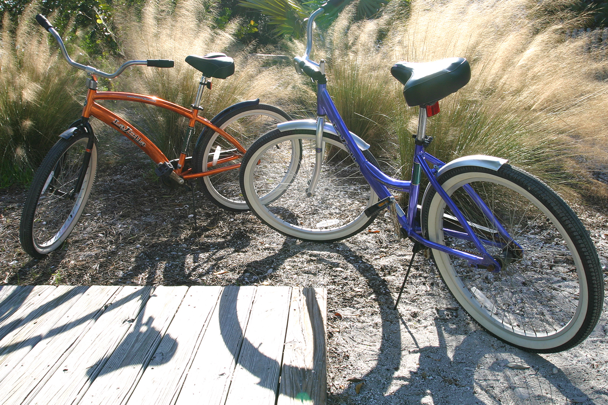 Beach bikes