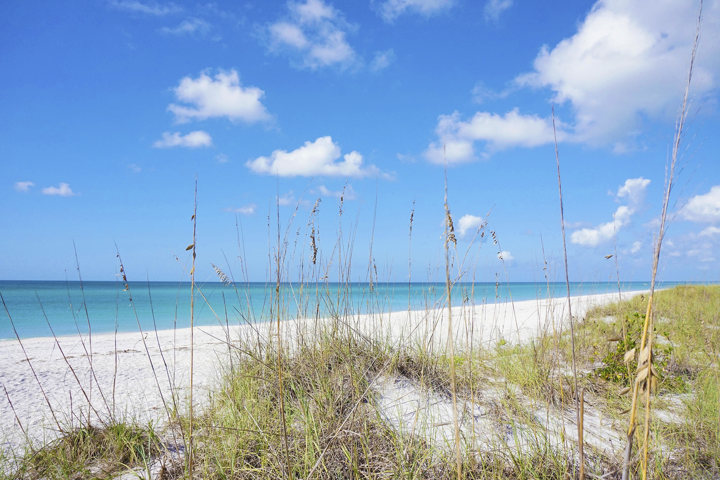 Florida beach