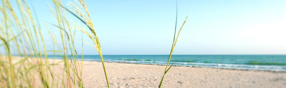 Beautiful beach with no people on Palm Island