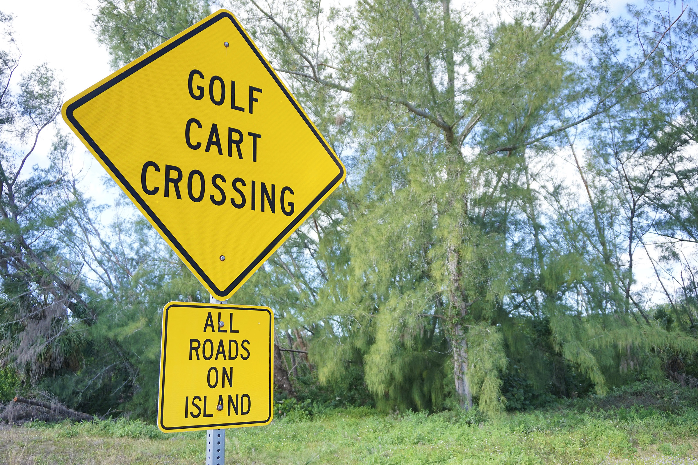 Golf cart crossing