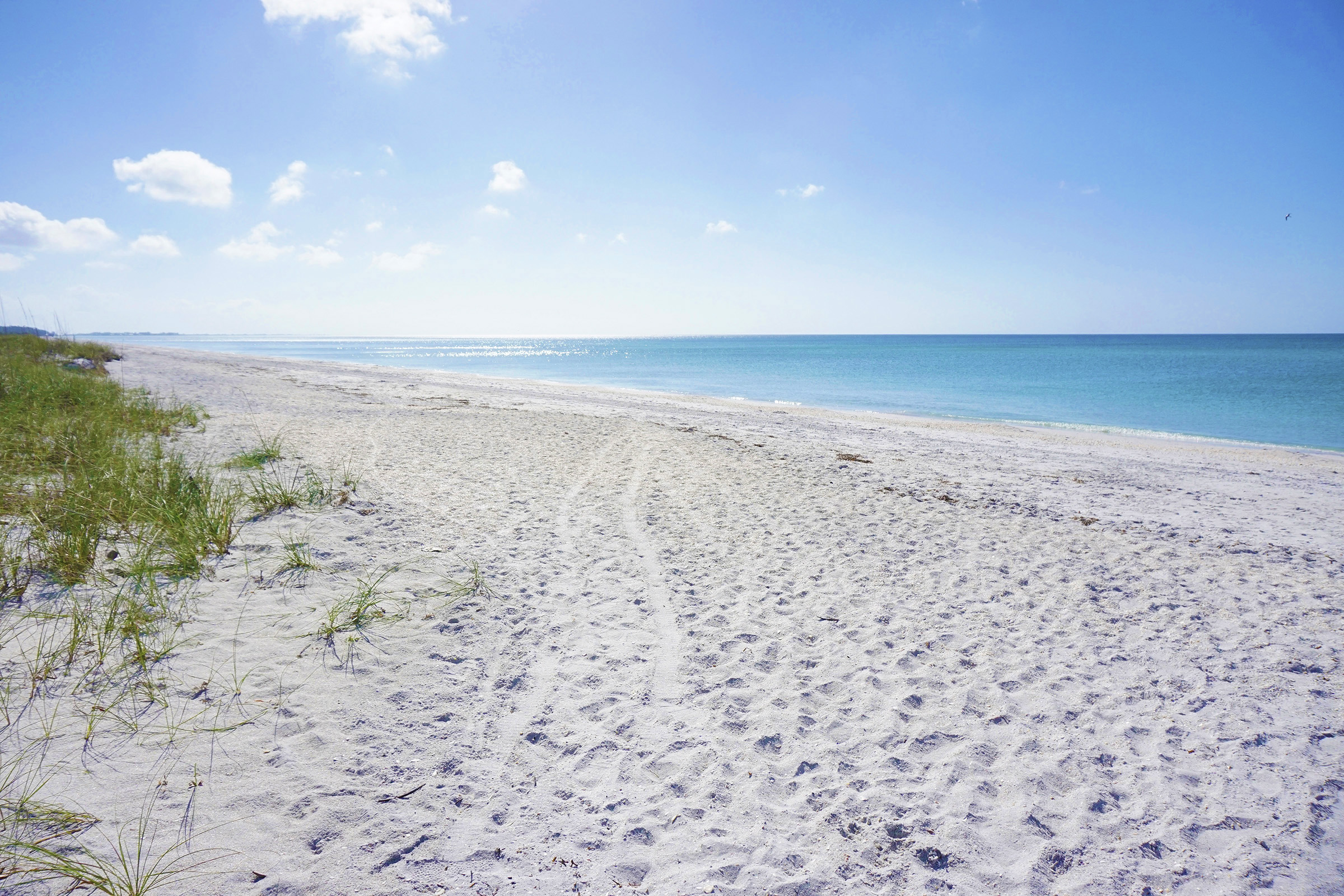 Amazing beach