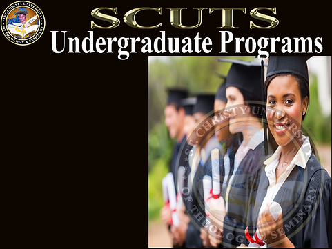 Undergraduate PRograms Banner - Transpar