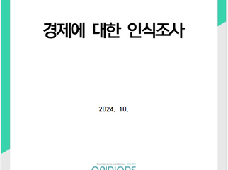 경제 이슈 정기조사