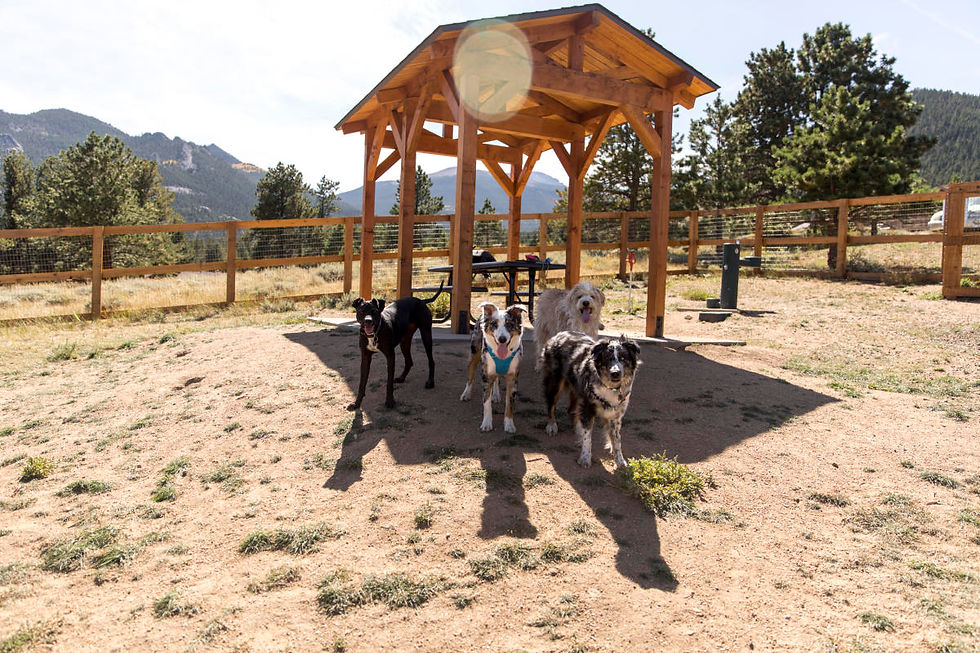 Photo by visitestespark.com.