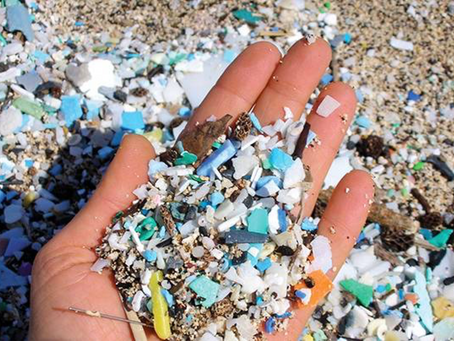 Steps to Overhaul Your Home to Make it Single-use Plastic Free