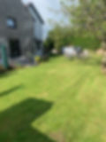 Garden 3