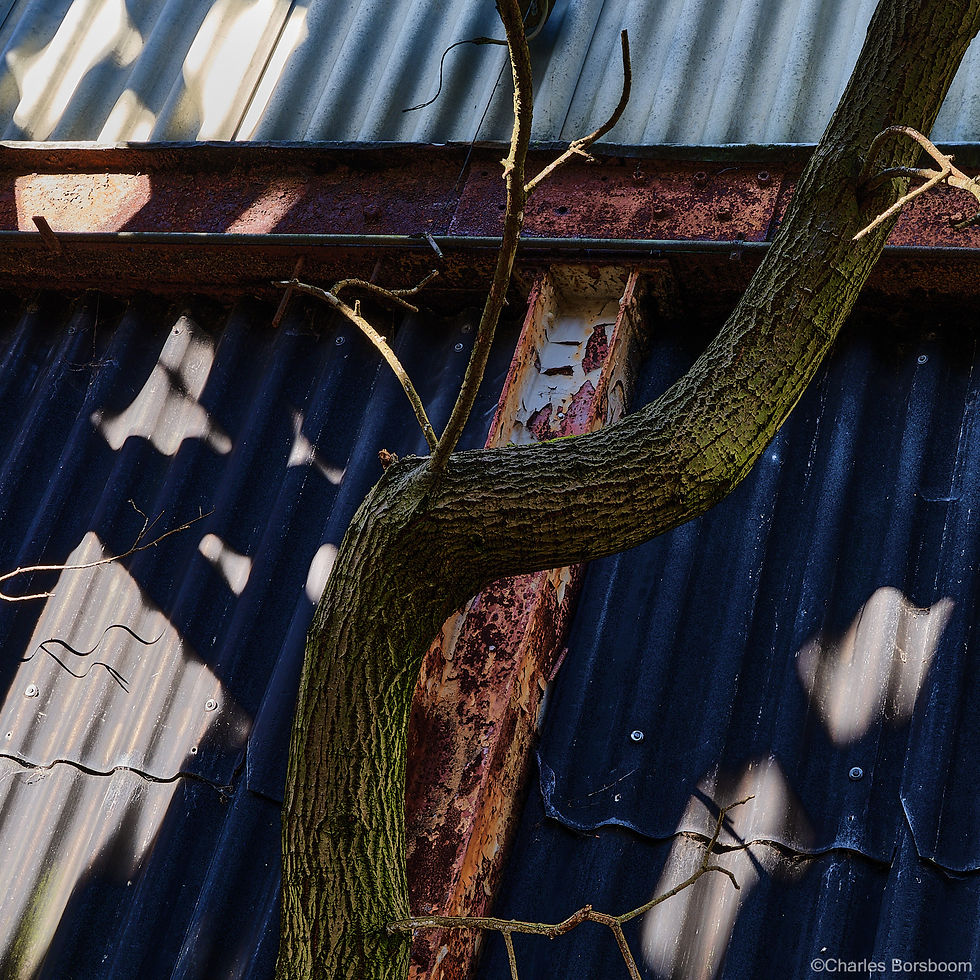 FCB_250223_Urbex Ter Apel__FCB7369