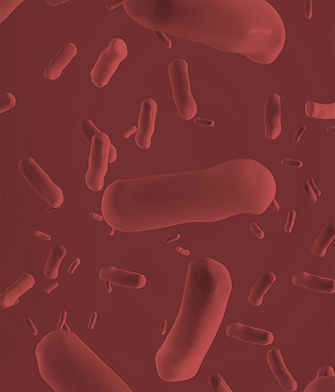 Banner 333.png