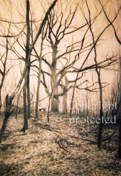 knotted oak hill watermarked.jpg