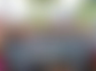 Justiça pelos Animais Comunitários: Mobilização em Aracaju Conecta Casos Locais e movimento nacional contra maus-tratos e aumento de penas