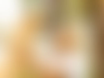 Deputada Kitty Lima discute estratégias para combater o abandono de animais por meio do adestramento responsável