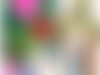 Fashion Parade: A Youth-led Collective of Change Makers