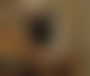 January – February 2016 – Message from the Guildmaster