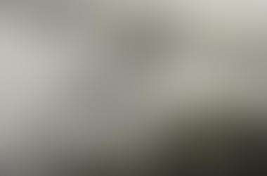 Griffins or Hellhorses? by Billy Griner (from the February 2006 issue of The Horn Book)