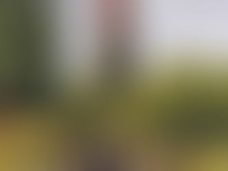 May – June 2016 – Message from the Guildmaster