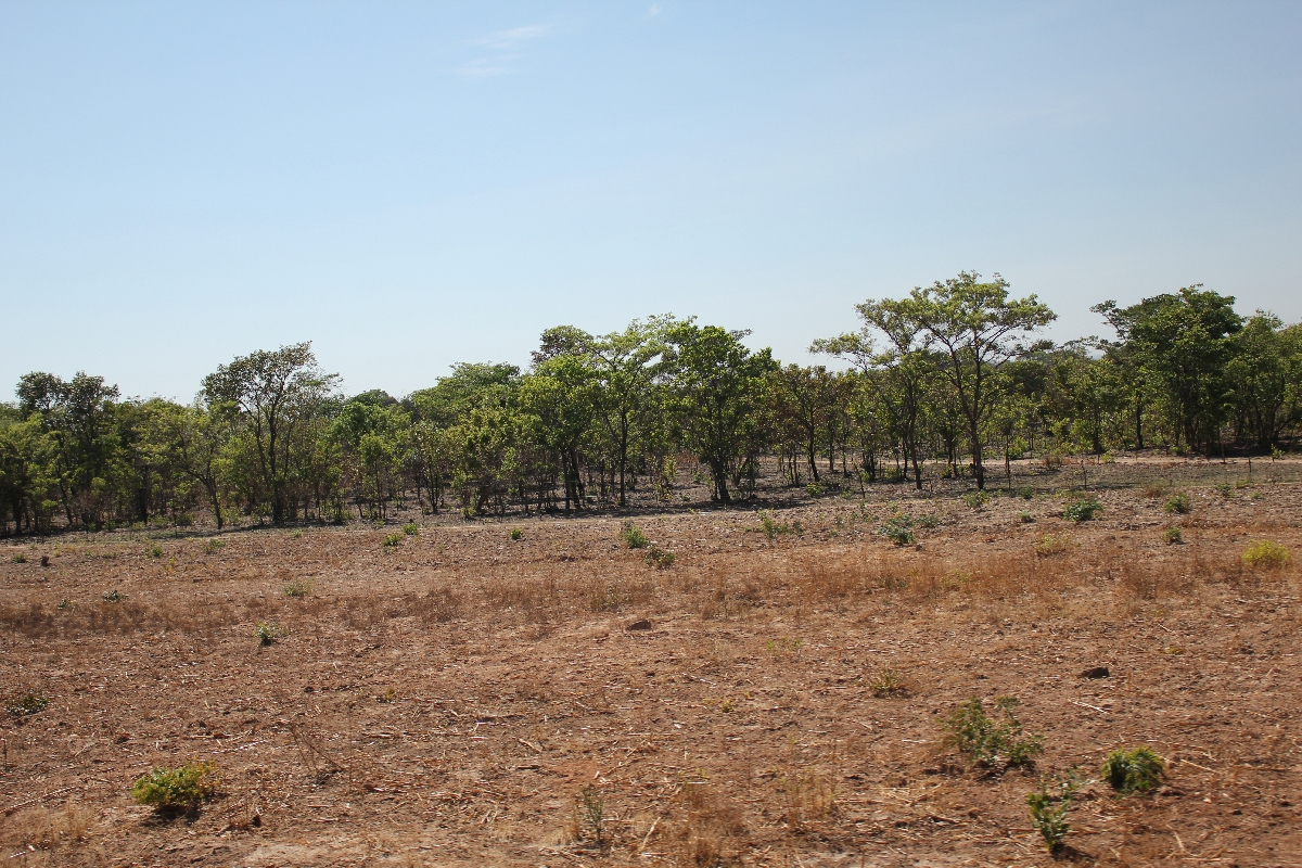 178 - Eric Pignolo - Southern Africa 201