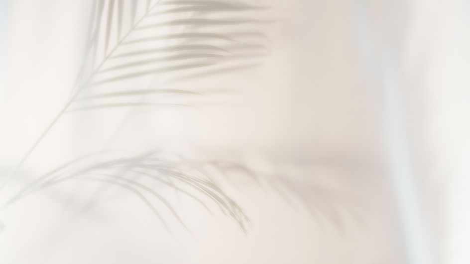 AdobeStock_474346184_Preview_edited.jpg