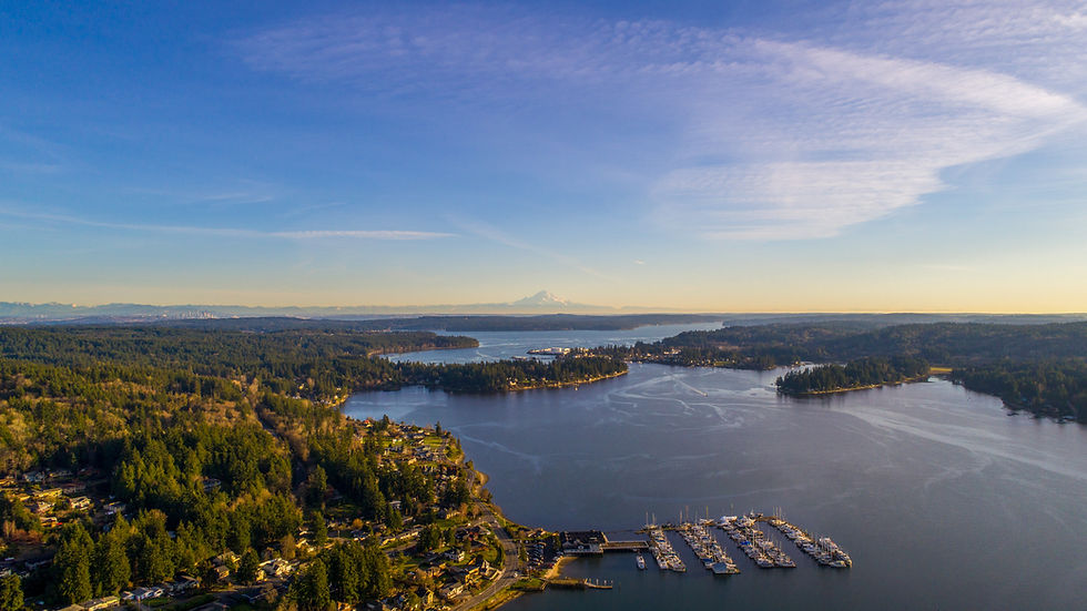 Mount Rainier from Poulsbo, Washington in December of 2020.jpg