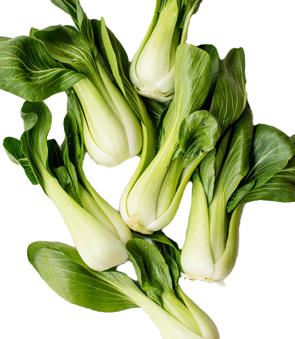 Bok choy