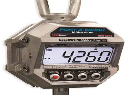 Things to Consider When Purchasing Commercial Fishing Scales – Ricelake