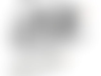 WEIGH MODULE FOR DOUBLE ENDED TYPE – Baykon