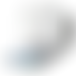 Analytical Balances XPR105DR/A- METTLER TOLEDO