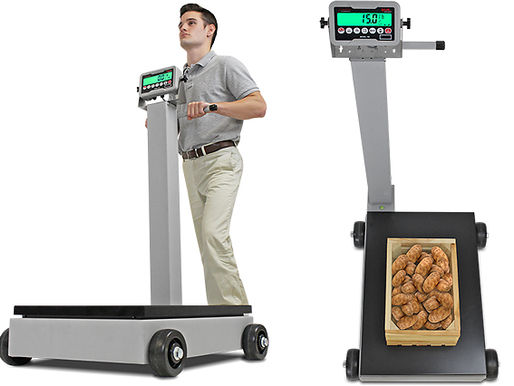 Rolling Column Scales